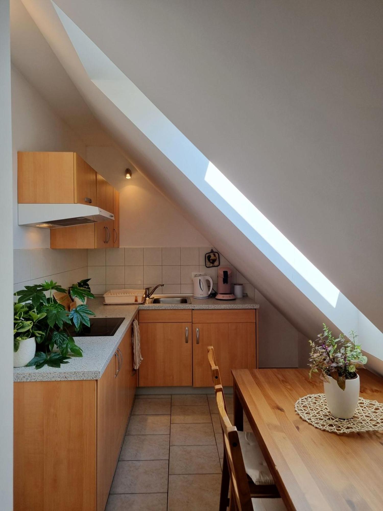 Apartmaji Pri Ticelnu Бовец Екстер'єр фото